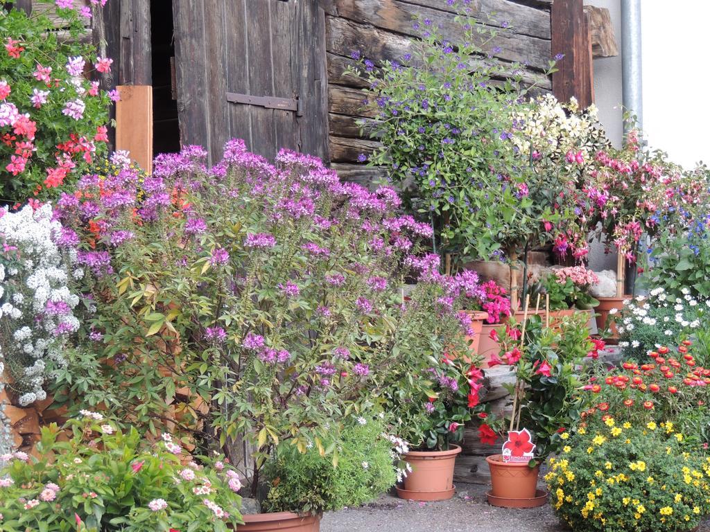 Haus Liaun 2 Brienz (Albula) Exterior foto